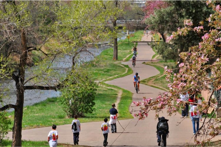 Cycle the Bike Path from Downtown to Cherry Creek-