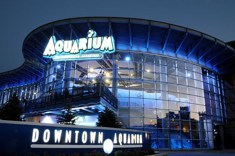 7. Denver Aquarium