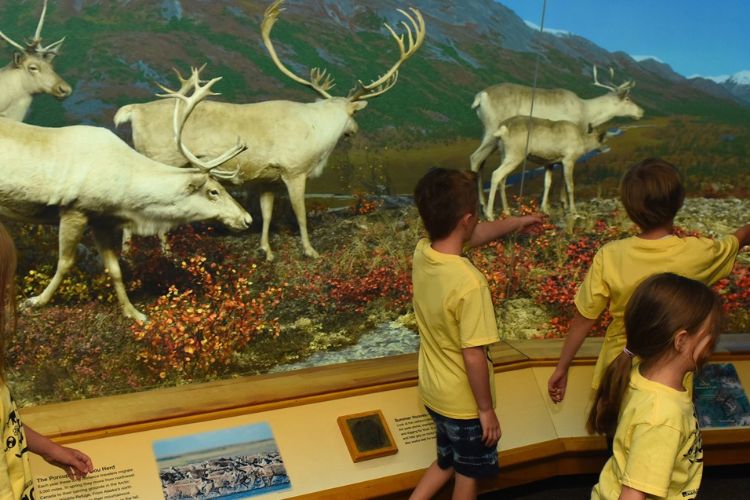 2. Explore the Denver Museum of Nature & Science